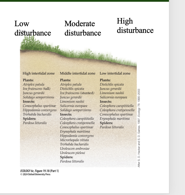 <p>Hacker and Gaines tested this in a New England salt marsh:</p>