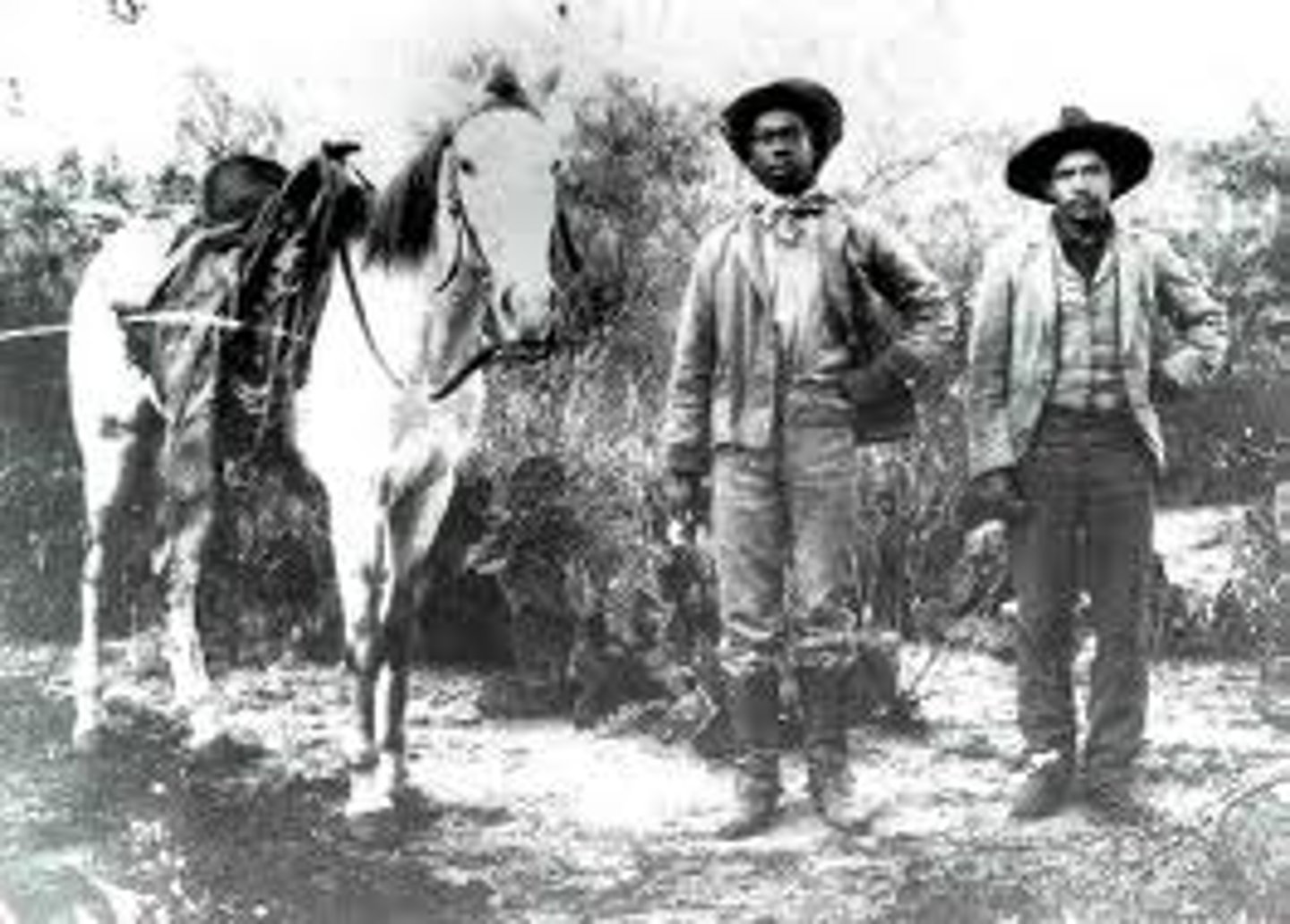 <p>Between 1866 and 1885, about 55,000 cowboys worked on the plains. About 12% of these cowboys were THIS and bout 25% were THIS.</p>