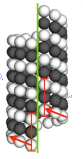 <p>Favorable growth only happens once two rings have formed, essentially forming the seam that has three tubulin monomers stacked</p>