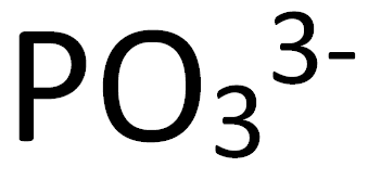 <p>PO3(3-)</p>