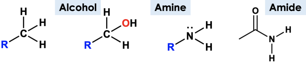 <p>only connected to one carbon group</p>