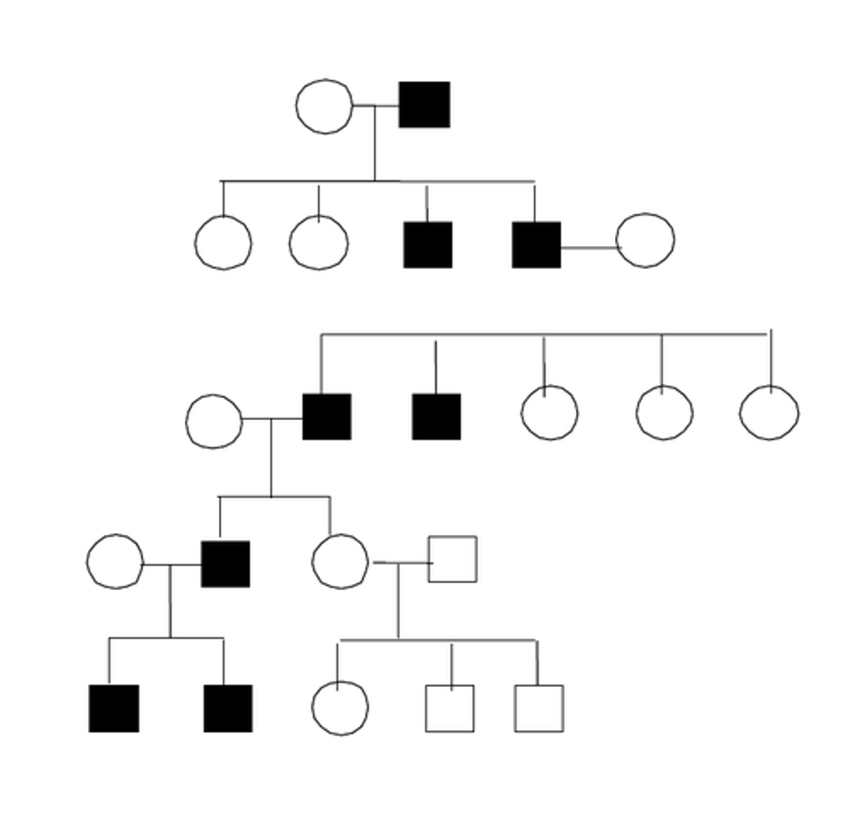 <p>Genes located on the Y</p><p>chromosome cause the</p><p>condition/trait</p>