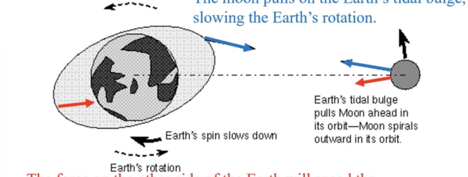 <p>the moon pulls on the Earth’s tidal bulge, slowing the Earth’s rotation. The angular momentum from the Earth’s spin is transferred to angular momentum of the Moon’s orbit (the moon is getting further away)</p>