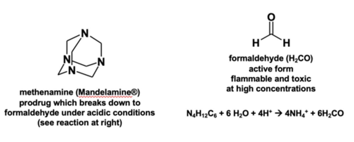 <p>Methenamine prodrug breaks down to formaldehyde under right conditions</p>