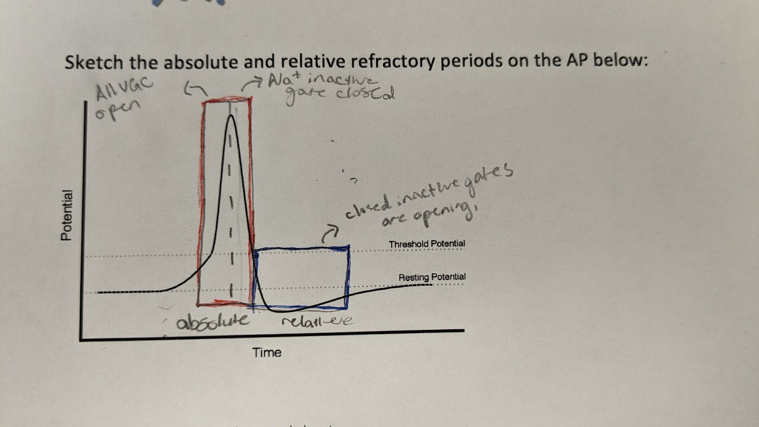 <p>absolute = red</p><p>relative = blue</p>