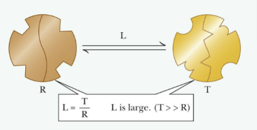 <p>Wyman, Monod, &amp; Changeux-1965 (Not highlighted but threw it in case <span data-name="thinking" data-type="emoji">🤔</span> )</p><p>Two conformations of the enzyme:</p><p>-<strong>R (relaxed): </strong>binds substrate tightly; <strong>active form</strong></p><p>-<strong>T(tight or taut):</strong> binds substrate less tight; <strong>inactive form</strong></p>