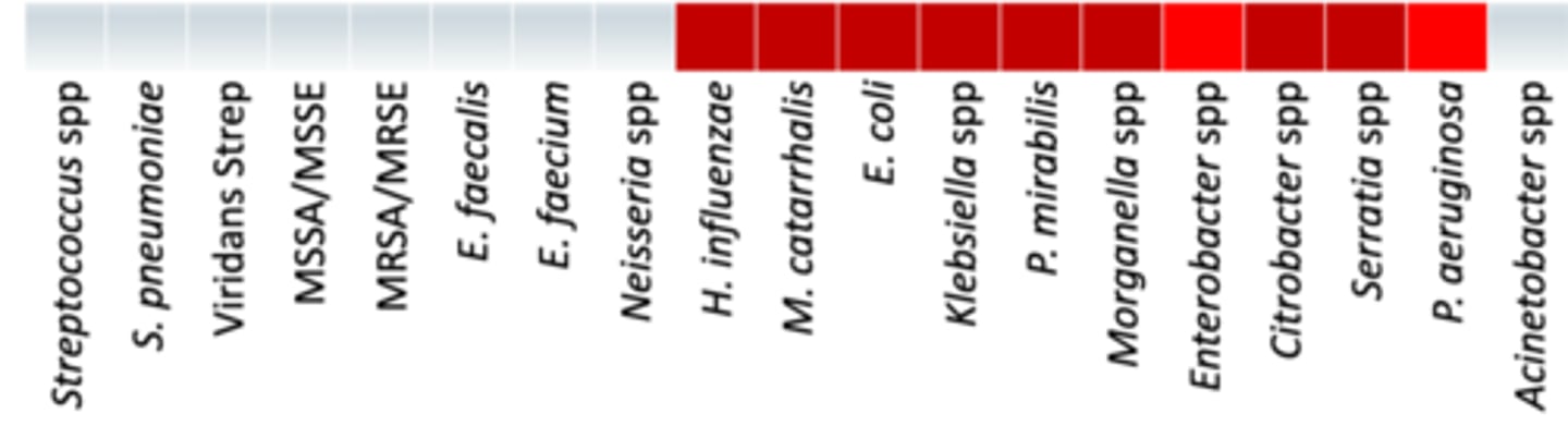 <p>• Anaerobes: -/-</p><p>• Miscellaneous: </p><p>- Activity against NDM metallo-beta-lactamases</p><p>- Unstable against ESBL and AmpC</p><p>• Coverage - Covers only gram -, from H. influenza to P.aeruginosa, but there is variable activity at Enterobactor and P.aeruginosa since it is unstable against ESBL and AmpC</p><p>• Used for those with severe beta-lactam allergies</p>