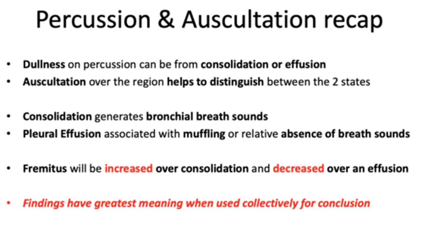 <p>consolidation, effusion</p>