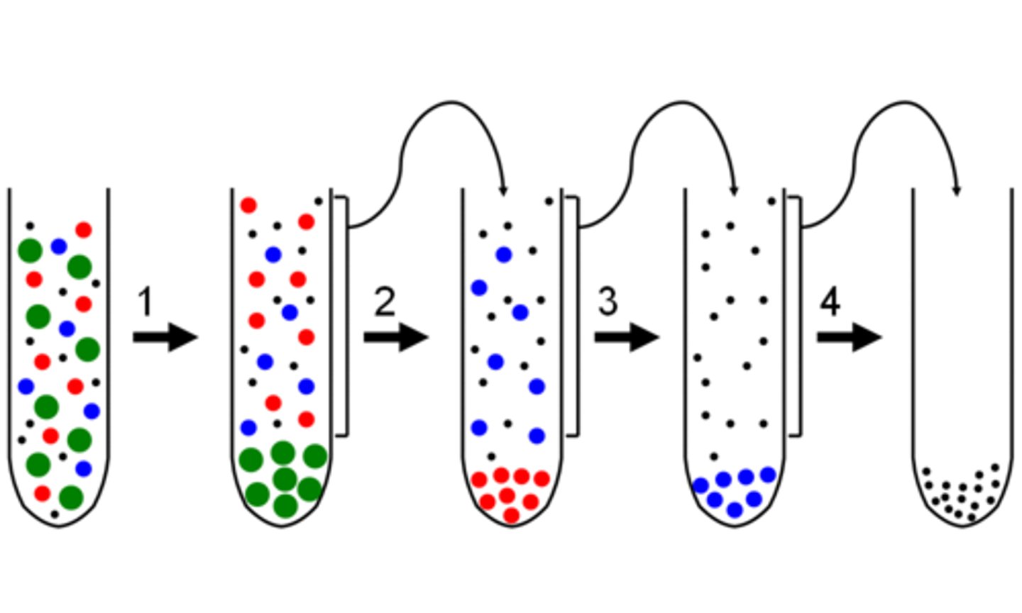 <p>differential centrifugation</p><p>(the homogenate is centrifuged/fractionated)</p>