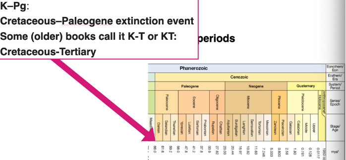 <p><span style="font-family: "Times New Roman"; line-height: normal; font-size: 7pt;"><span> </span></span>The latest geologic era</p><p class="MsoListParagraphCxSpMiddle">Divided into periods:</p><p class="MsoListParagraphCxSpMiddle">Used to be tertiary and quaternary periods</p><p class="MsoListParagraphCxSpMiddle">Now Paleogene, Neogene, quaternary</p><p class="MsoListParagraphCxSpMiddle">Periods divided into epochs:</p><p class="MsoListParagraphCxSpLast"><span style="font-family: "Times New Roman"; line-height: normal; font-size: 7pt;"><span> </span></span>E.g. paleocene, Eocene</p><p class="MsoListParagraphCxSpLast"></p>