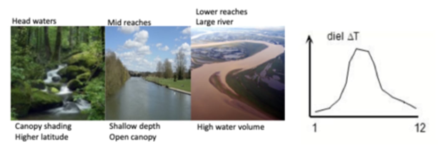 <p>head waters have low temperatures due to higher latitude and canopy shading</p><p>mid reaches have shallow depth and open canopy</p><p>low reaches have high water volume and low temperatures</p><p>2 multiple choice options</p>