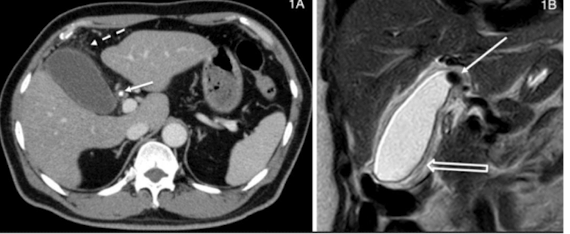 <p>What is this and what type of scan </p>