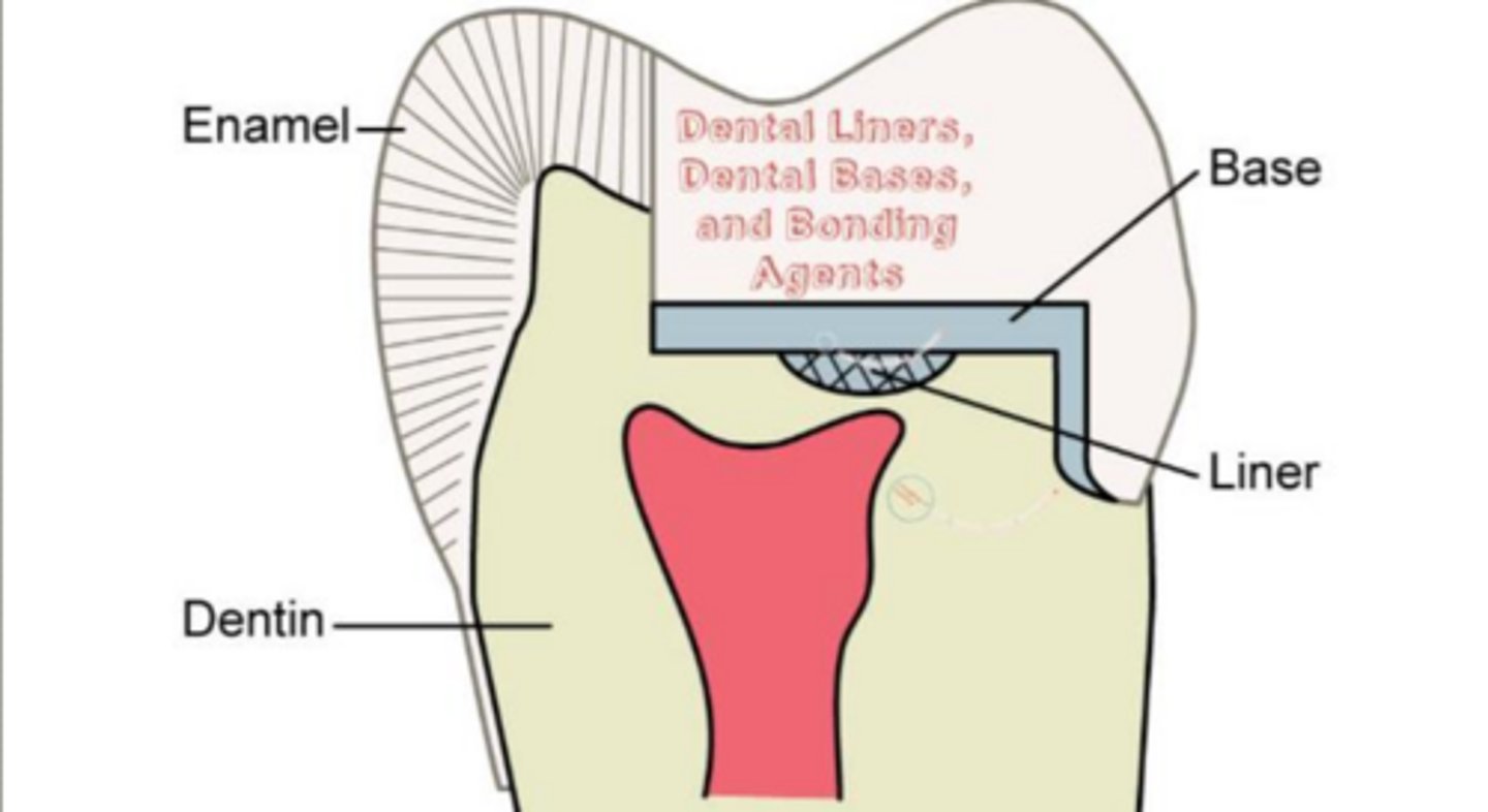 <p>- cover deep dentin</p><p>- reduce tubular fluid flow</p><p>provide:</p><p>- thermal barrier</p><p>- physical barrier</p><p>- improve bonding env.</p><p>protect pulp from:</p><p>- bacteria</p><p>- toxins</p>