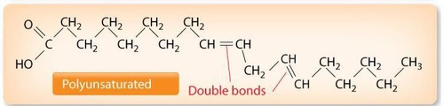 <p>Fatty acids with two or more double bonds.</p>