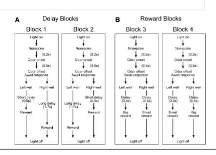 <p><span style="background-color: transparent;"><strong><span>Roesch et al (2006)- encoding of time-discounted rewards in orbitofrontal cortex is independent of value representation</span></strong></span></p><p><span style="background-color: transparent;"><span>experimental design</span></span></p>