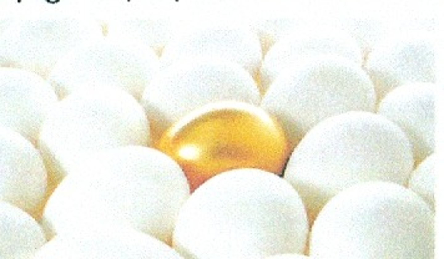 <p>Maxsus</p>
