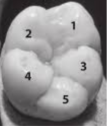 <p>What is this and example of?</p>