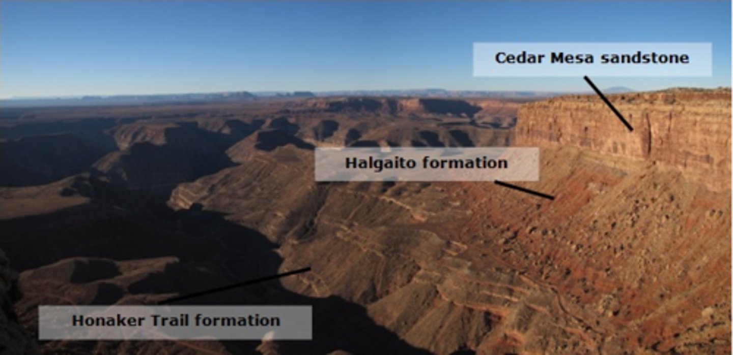 <p>Oldest Event - Youngest Event</p><p>1.Carbonate sediments were deposited in a shallow marine depositional environment.</p><p>2. Sediment was deposited in stream and floodplain depositional environments.</p><p>3. An abundance of sand was transported and deposited by wind in a large dune field.</p><p>4. The San Juan River and tributaries incised downward into preexisting sedimentary rock units.</p>
