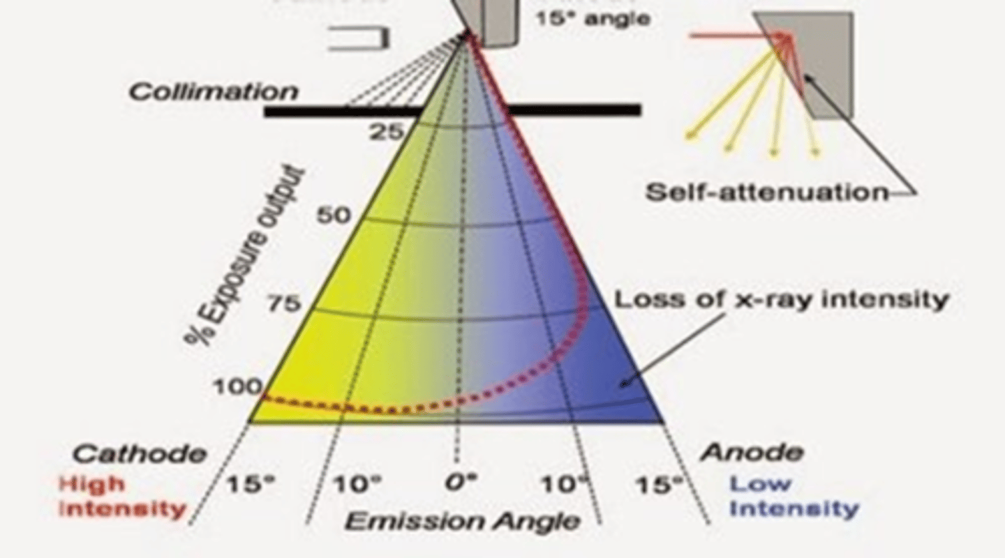 <p>1. X-rays produced closer to the cathode are higher energy</p><p>2. Lose less energy traveling across tube</p><p>3. Lose less energy because of bevel</p><p>4. More x-rays are directed toward patient at cathode end</p>