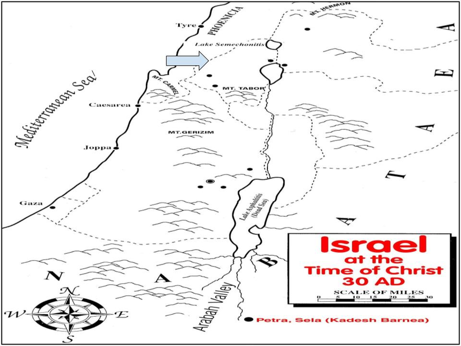 <p>Which region is the arrow pointing to?</p>