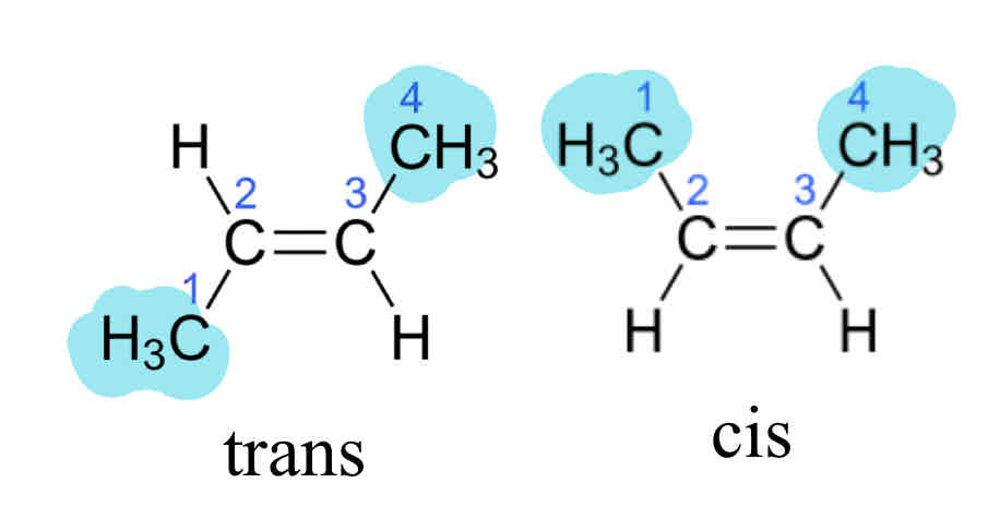 <ul><li><p>CIs isomers: groups on the same side of a double bond</p></li><li><p>Trans isomers: groups acroos from each other</p></li></ul>