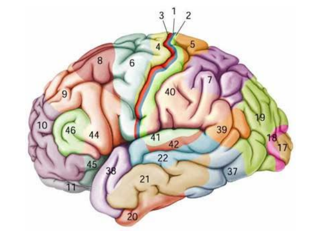 check if your answers are a match 