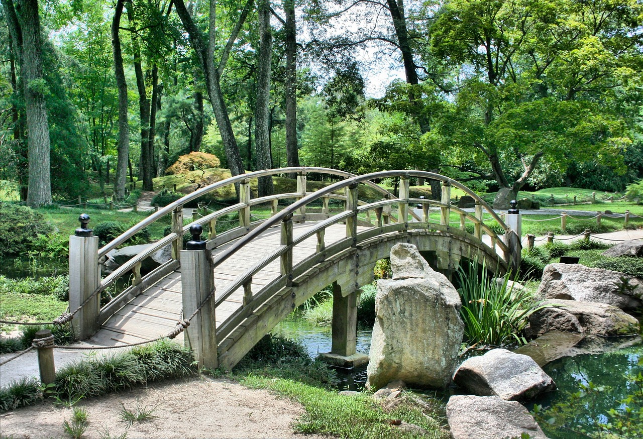 <p>park</p>