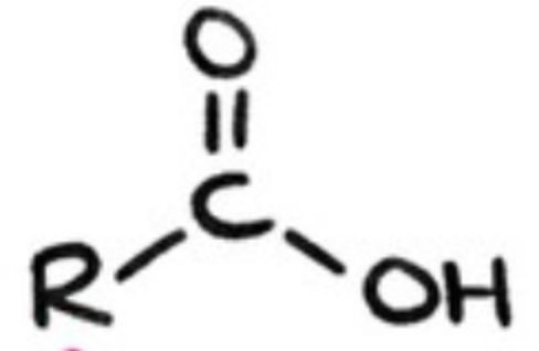 <p>contain carboxyl group -COOH </p>