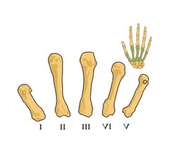 <p><span>1 always at thumb</span></p><p></p>