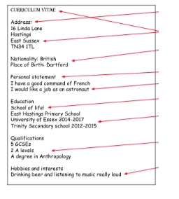 <p><br><br>What is wrong with each aspect of this CV?"</p>