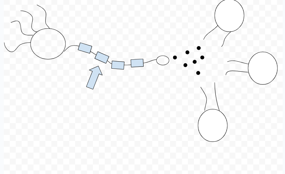 <p>coats axon and acts as insulator</p><p>improves efficiency of axon</p><p>increases speed of signals and action potential</p>