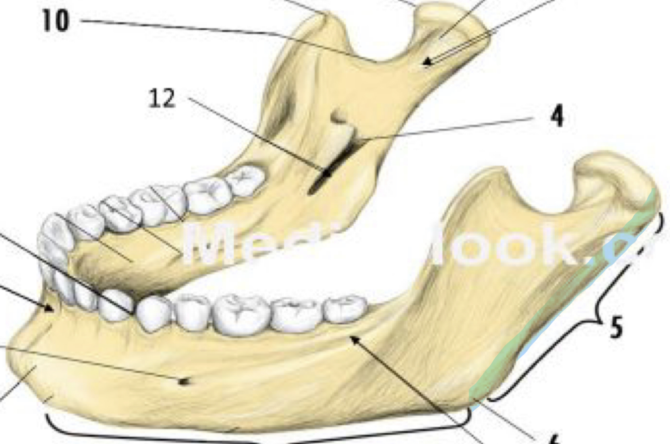 knowt flashcard image