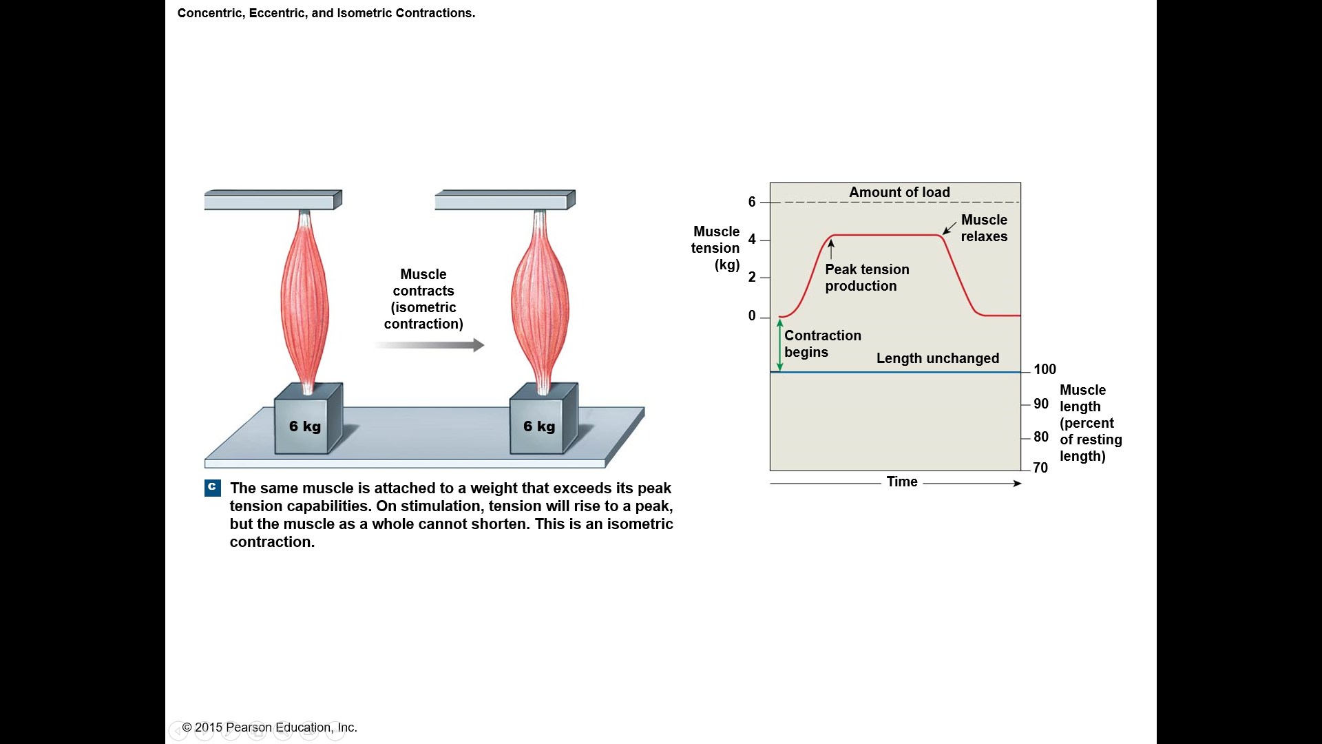 Skeletal muscle develops tension, but is prevented from changing length
iso- = same, metric = measure