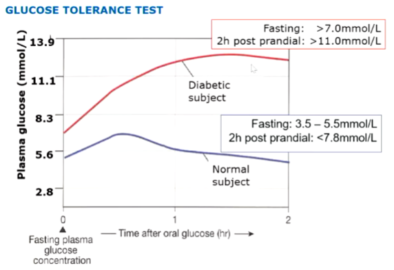 <ul><li><p>fast overnight, then take blood sample, then drink a set glucose load, then take blood sample again an hr and 2 hrs from zero</p></li></ul><p><u>fasted state</u></p><ul><li><p>normal person: 3.5 - 5.5 mmol/L</p></li><li><p>diabetic person: &gt; 7.0 mmol/L</p></li></ul><p><u>fed state (2hrs post)</u></p><ul><li><p>normal person: &lt;7.8 mmol/L</p></li><li><p>diabetic person: &gt;11.0 mmol/L → even after 2 hrs glucose levels have not dropped</p></li></ul>