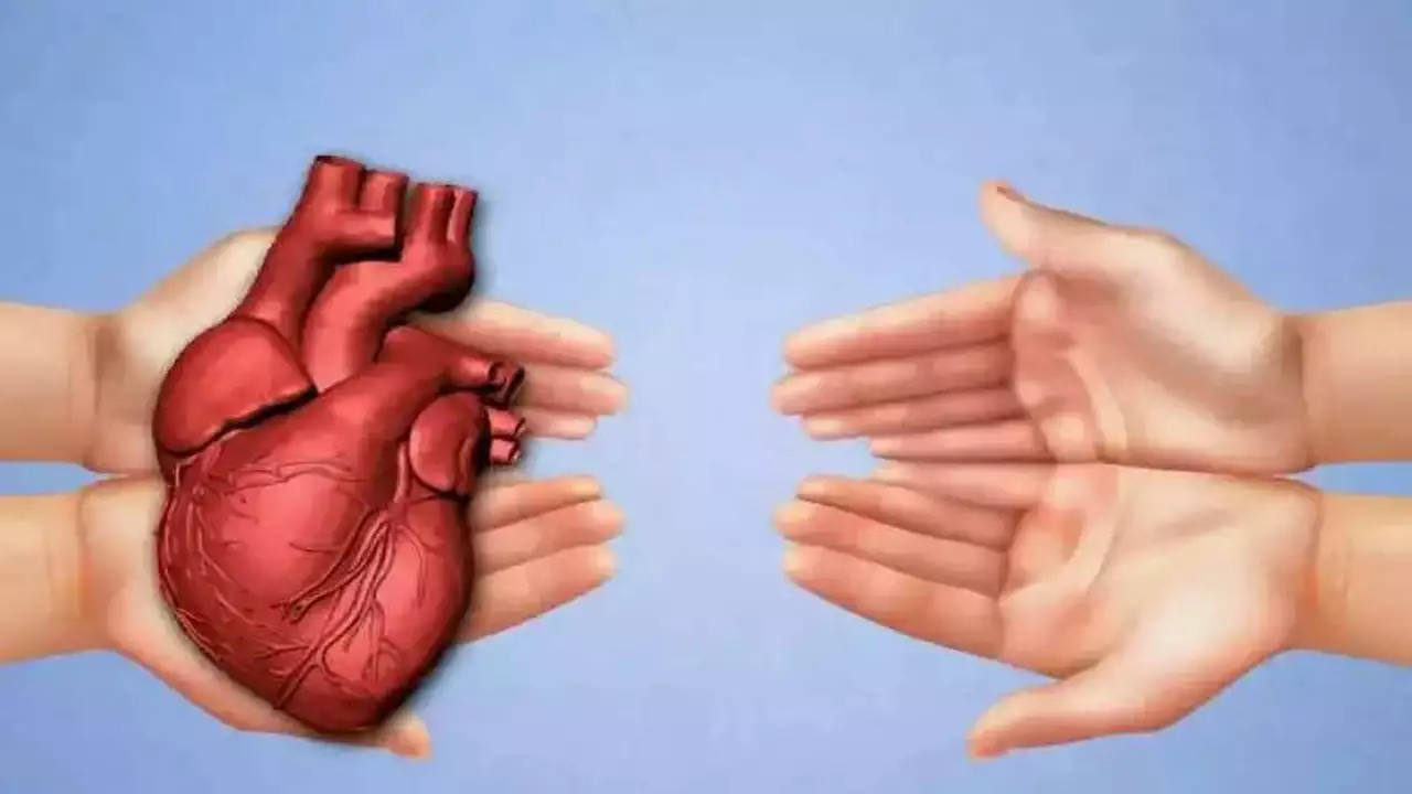 <p><span style="color: red"><strong><em>Re M (Child: Refusal of Medical Treatment)</em> [1999]</strong></span></p>