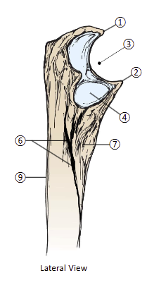 <p>2</p>