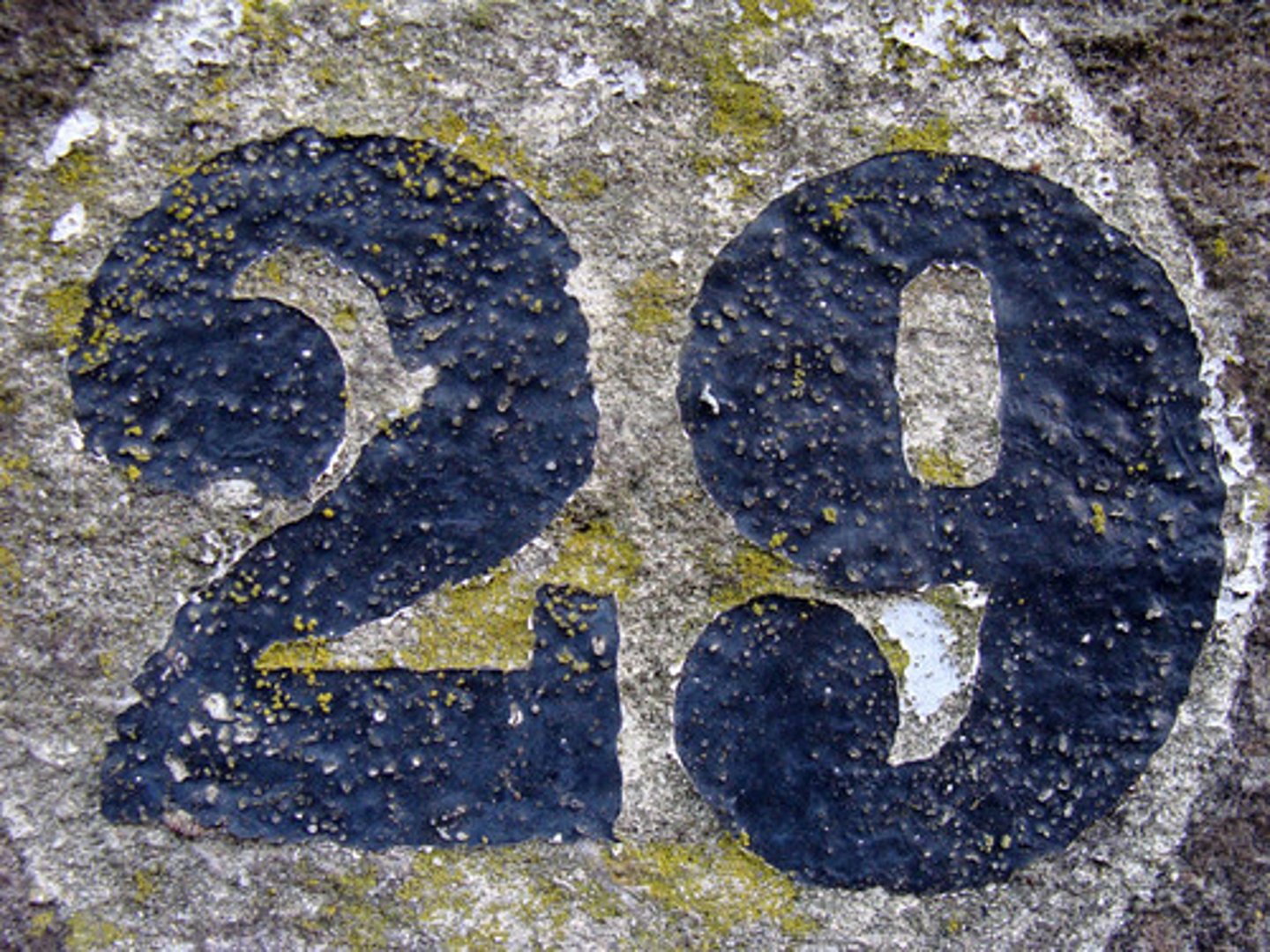 <p>twenty nine</p>