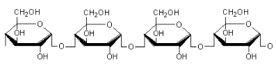 <ul><li><p>Unbranched helix-shaped chain with 1-4 glycosidic bonds between α-glucose molecules</p></li><li><p>The helix shape enables it to be more <strong>compact</strong> and thus it is more resistant to digestion</p></li></ul><p></p>
