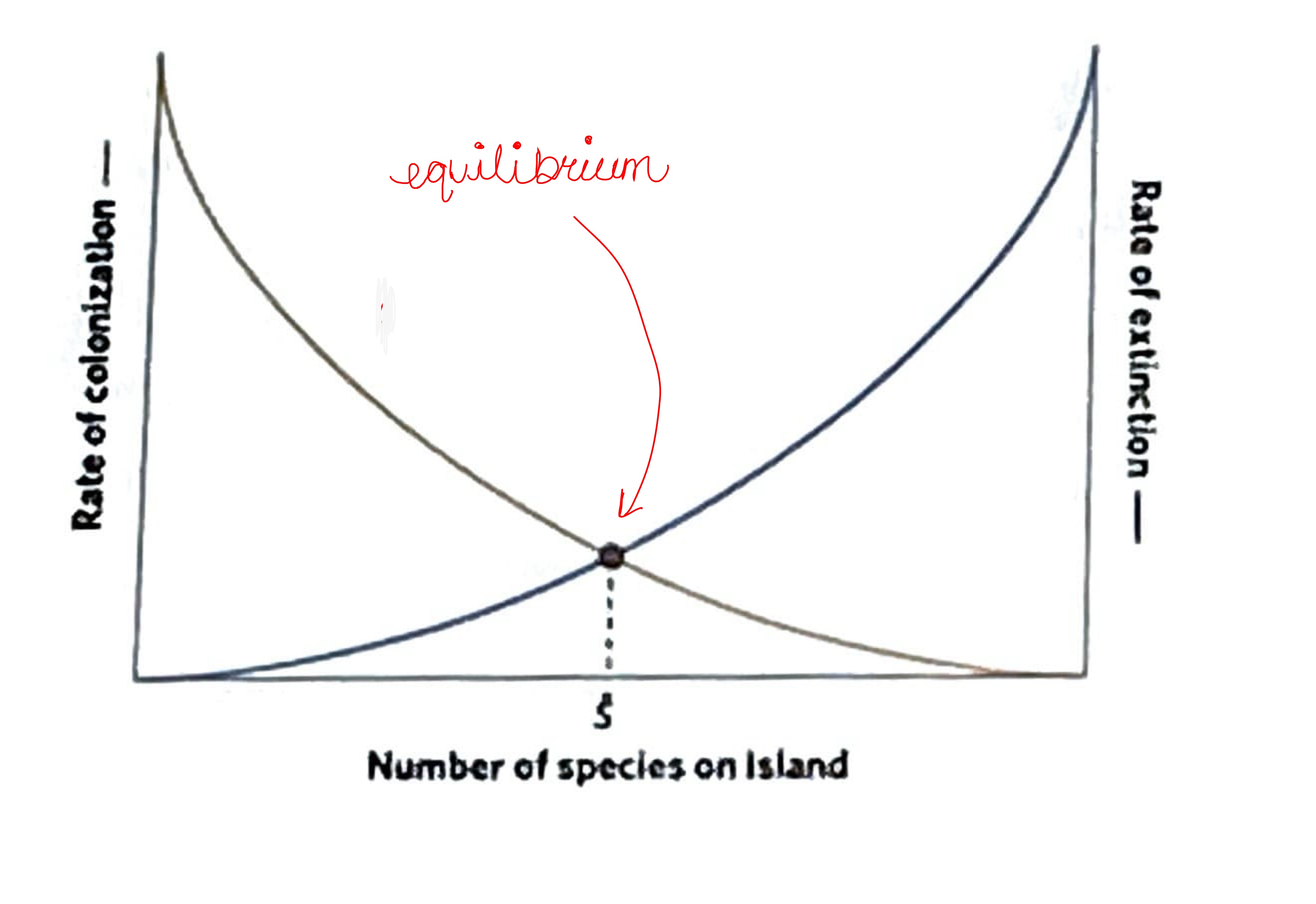 <p>It is the idea that species richness on any island reflects balance between the colonization of new species and the extinction of existing species</p><p></p><p></p><p></p>