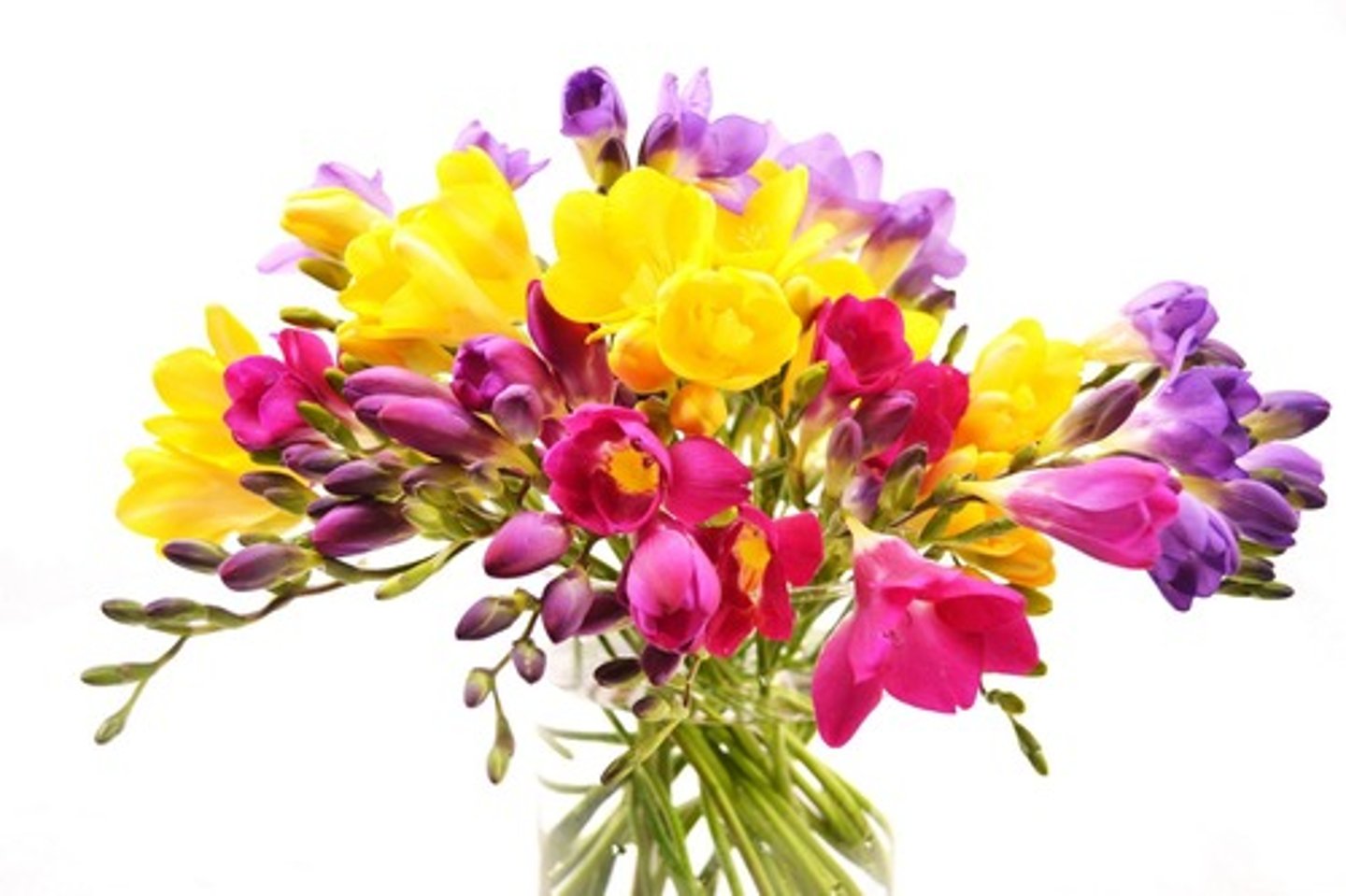 <p>bouquet, bunch</p>