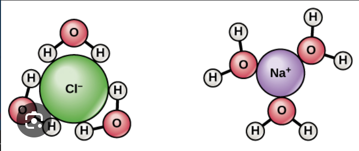 <p>Water is polar and surrounds other atoms </p><p>ex: NaCl dissociates in H20 </p>