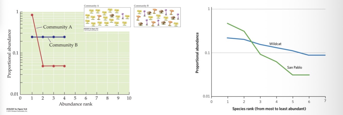 <ul><li><p>which plot the proportional abundance of each species (pi) relative to the others in rank order</p></li><li><p>can be used to understand whether differences in diversity are due to differences in species richness, evenness, or both.(useful because we can’t just tell from the Shannon-Wiener Diversity Index Value)</p></li></ul><p></p>