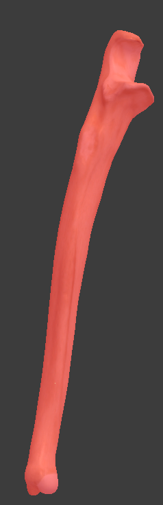 <p>What is the whole structure highlighted in red?</p>