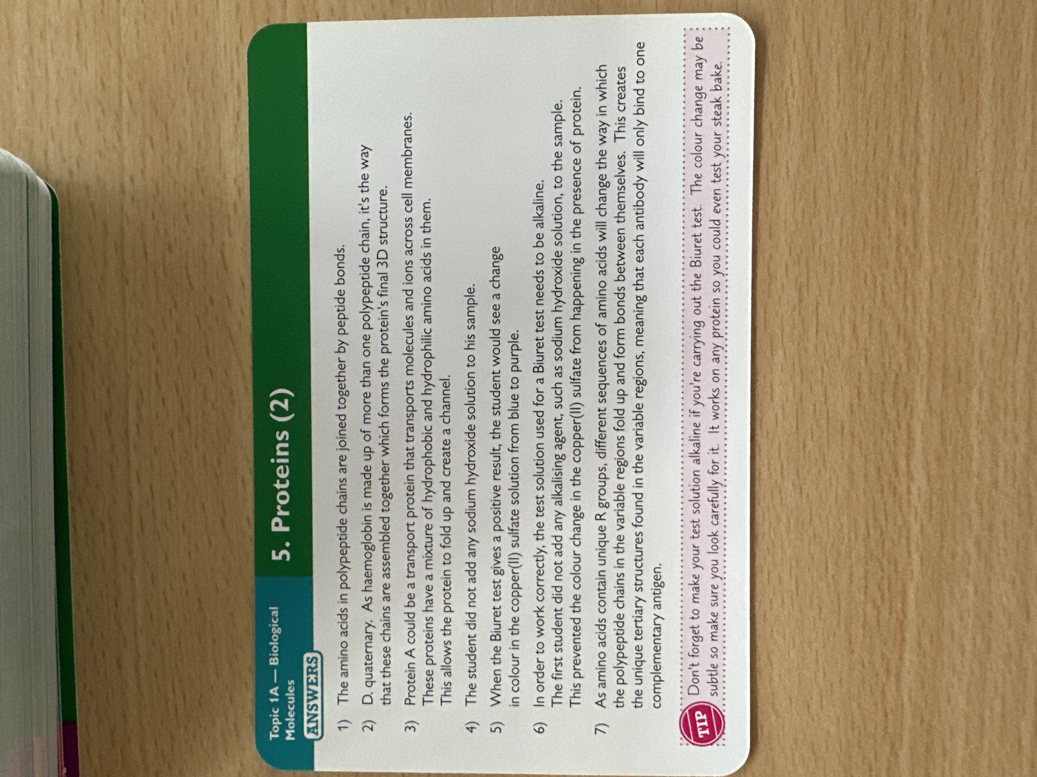 knowt flashcard image