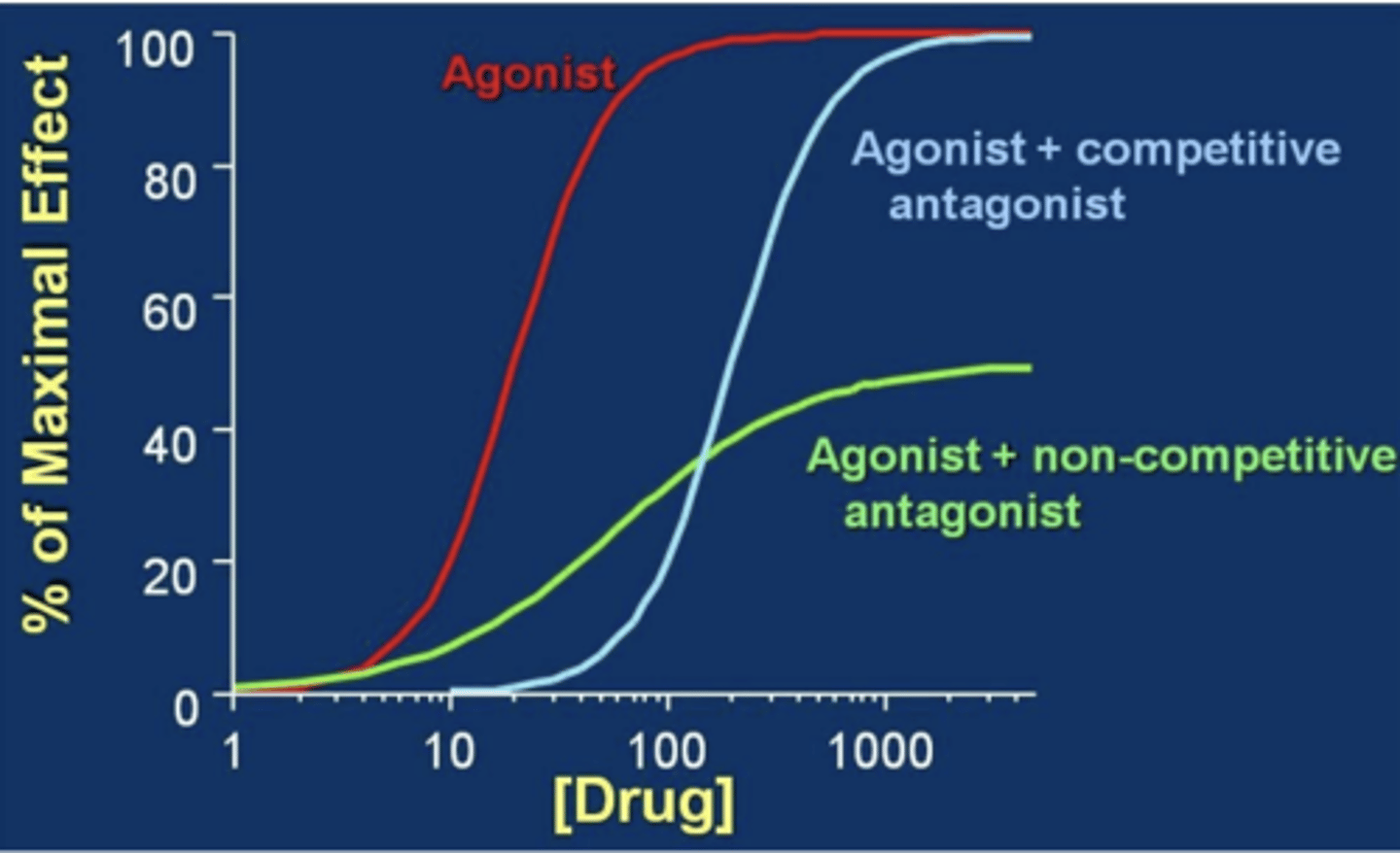 <p>shifts to the right</p>