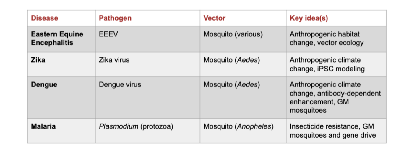 <p>living organisms that can transmit infectious pathogens between animals (including humans)</p><p>Many are bloodsucking insects</p>