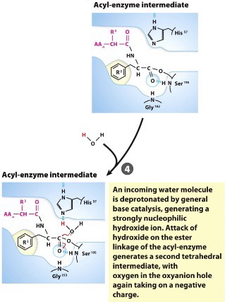<p>Water enters site where product exited</p>