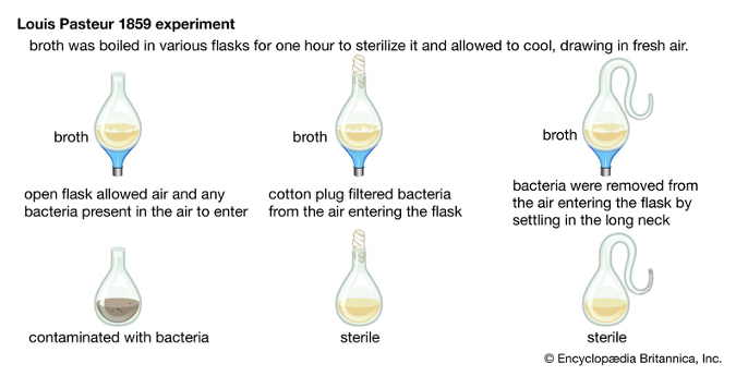 <p>Louis Pasteur showed that germs causes the fermentation/decay of organic substances and proved that germs caused diseases </p><p></p>