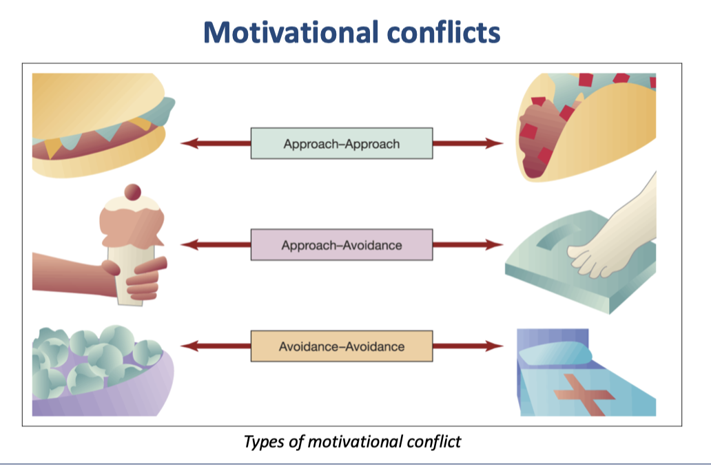 <p><span data-name="hamburger" data-type="emoji">🍔</span><span data-name="taco" data-type="emoji">🌮</span> <strong>1. Approach–Approach Conflict</strong> </p><p><strong>Two good choices—but you can only pick one.</strong><br>You want both!<br><strong>Example:</strong> You love burgers <strong>and</strong> tacos—but you have to choose just one for lunch. Either choice is rewarding, so it’s a "good vs. good" conflict.</p><p> </p><div data-type="horizontalRule"><hr></div><p> <span data-name="icecream" data-type="emoji">🍦</span><span data-name="scales" data-type="emoji">⚖</span> <strong>2. Approach–Avoidance Conflict</strong> </p><p><strong>One thing has both positive and negative sides.</strong><br>You want it—but you also want to avoid it.<br><strong>Example:</strong> Ice cream tastes amazing (approach), but it might affect your weight (avoidance). You feel torn about having it.</p><p> </p><div data-type="horizontalRule"><hr></div><p> <span data-name="broccoli" data-type="emoji">🥦</span><span data-name="bed" data-type="emoji">🛏</span> <strong>3. Avoidance–Avoidance Conflict</strong> </p><p><strong>Two bad choices—you must pick the lesser evil.</strong><br>You don’t want either, but you must choose.<br><strong>Example:</strong> You hate eating plain vegetables <strong>and</strong> going to the hospital for health problems—but you have to pick one for your health.</p><div data-type="horizontalRule"><hr></div><p><span data-name="bulb" data-type="emoji">💡</span> <strong>Bottom line:</strong><br>Marketers use motivational conflict to <strong>guide choices</strong>, reduce hesitation, and <strong>make their product the easiest or best choice</strong>.</p>
