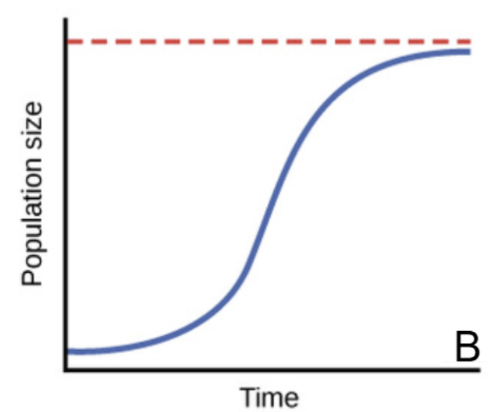 <p>The red dotted line is the ___________, which is…</p>